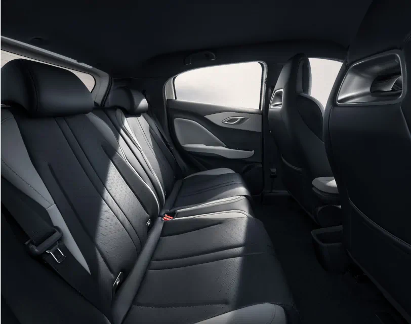 BYD Dolphin Surf Active - imagen adicional